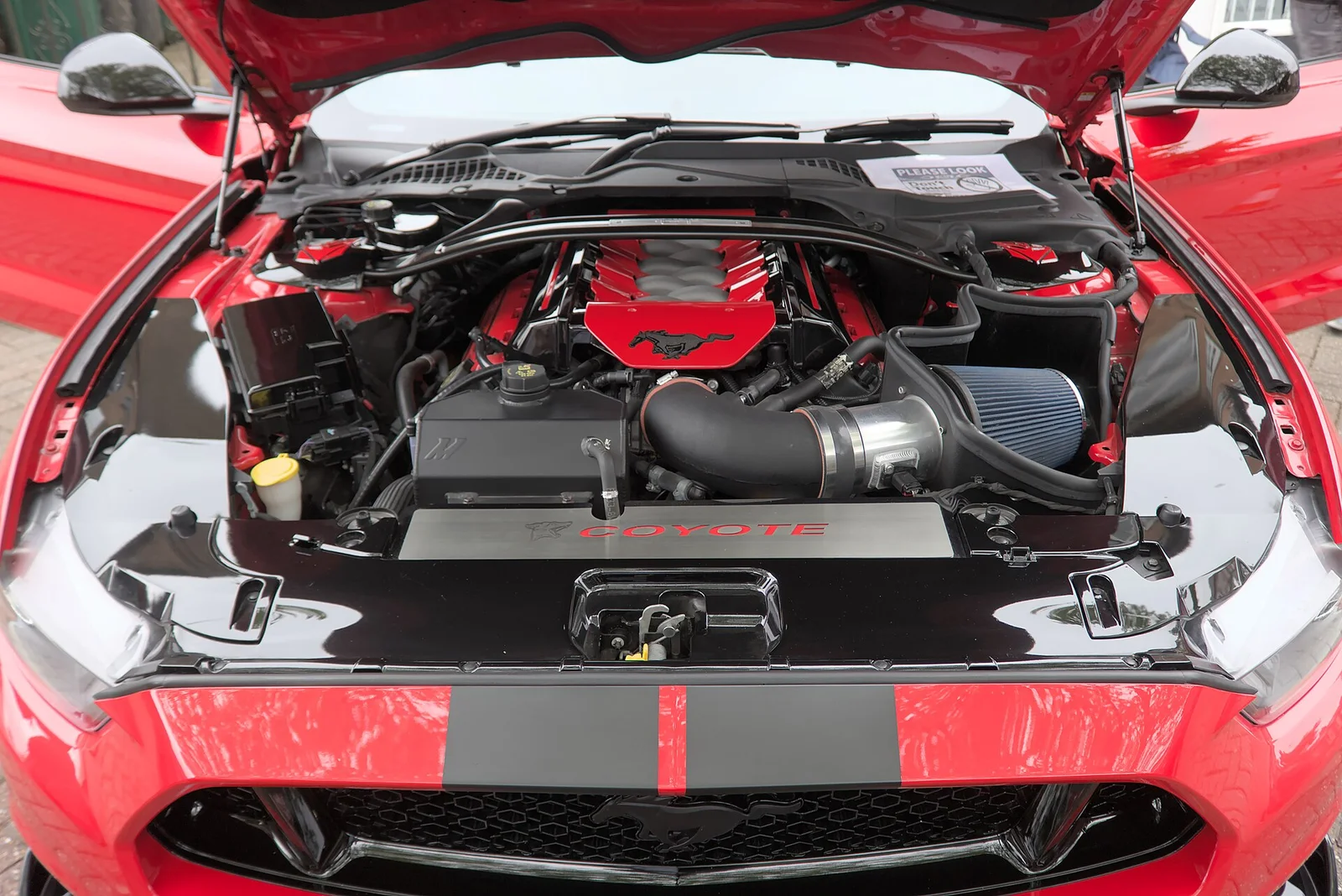 Mustang engine bay