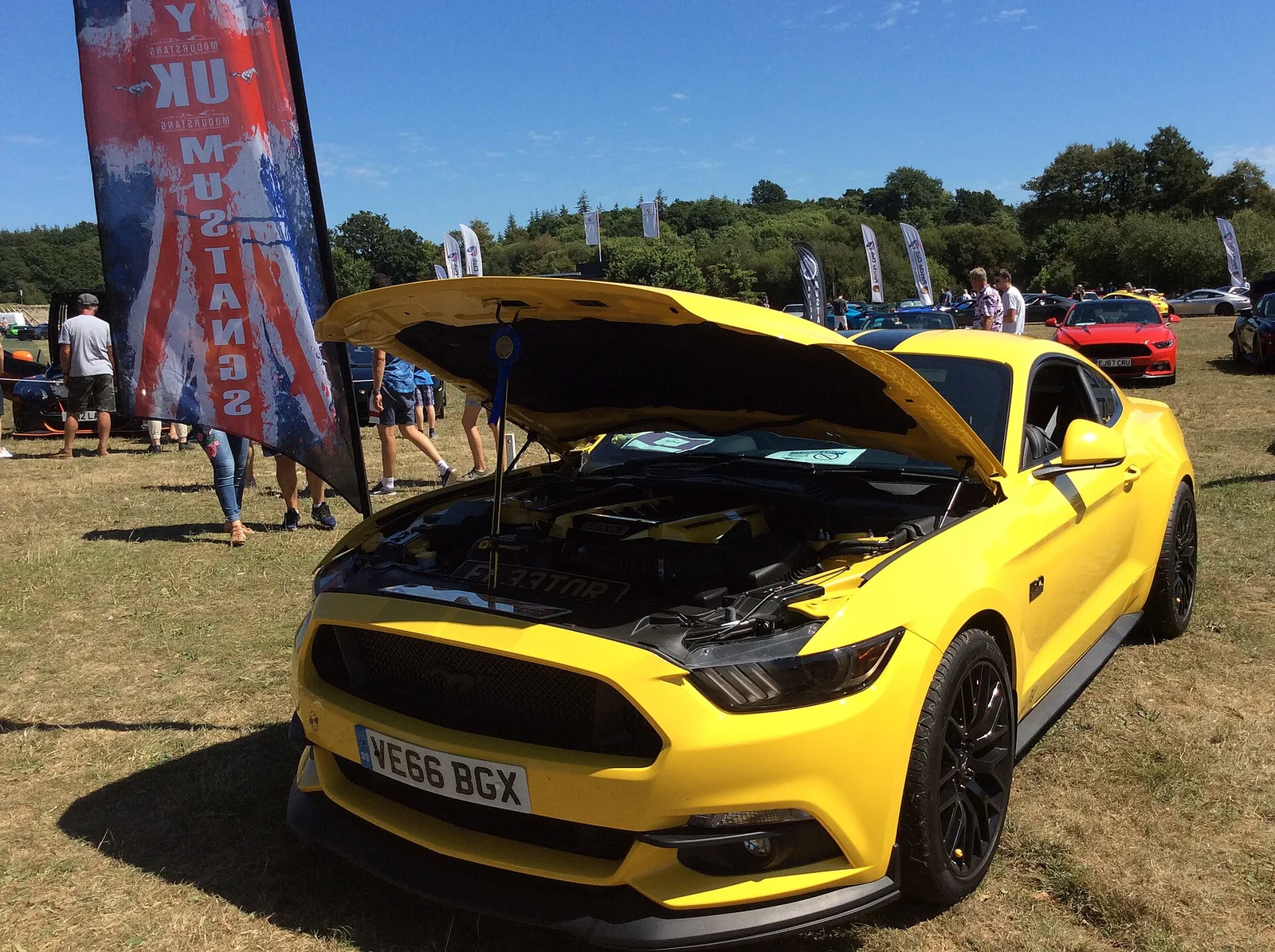 S550 representative Mustang photograph