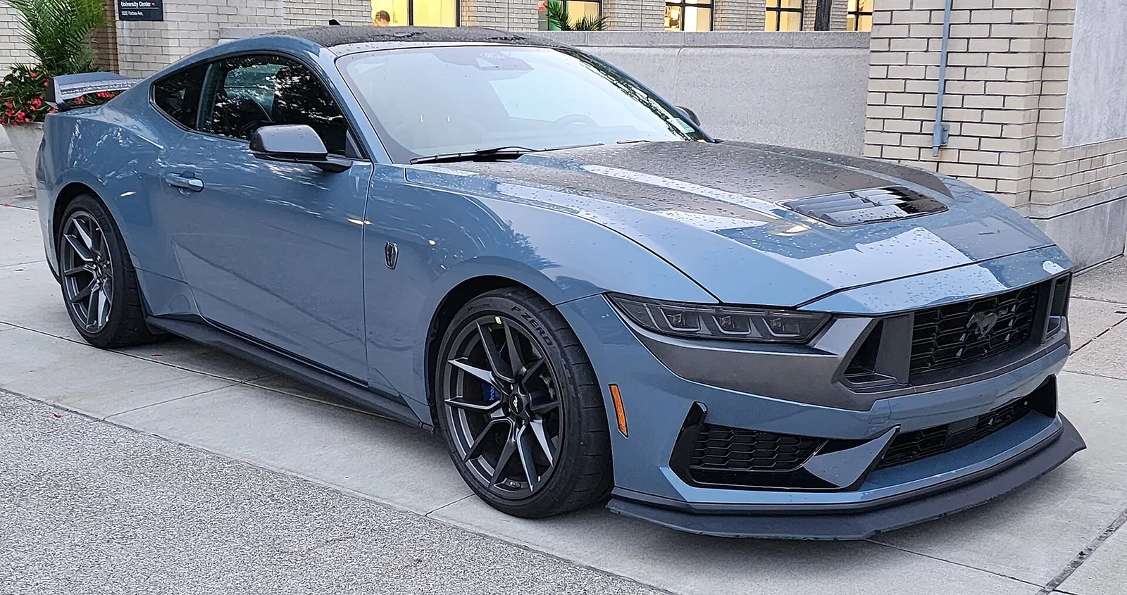 S650 representative Mustang photograph