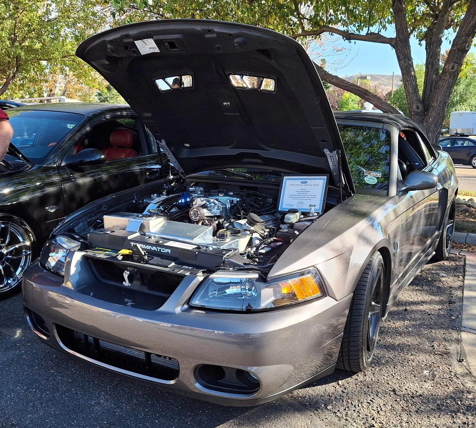 SN95 / New Edge representative Mustang photograph