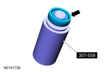 Selector Shaft Seal — original illustration 1, reference 8955