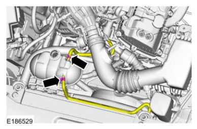Degas Bottle — original illustration 1, reference 5937