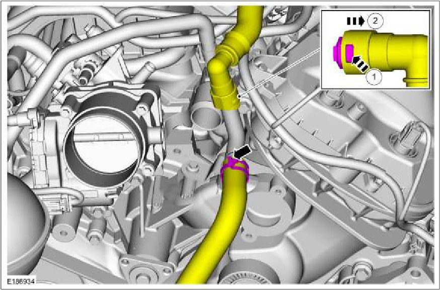 303-01C Engine Cooling - 5.0L — original illustration 2, reference 608