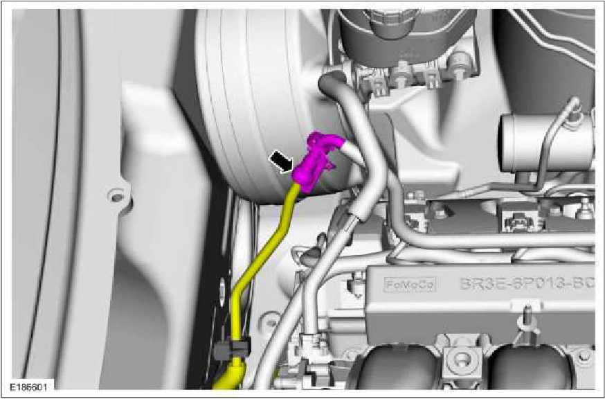 Fuel Lines — original illustration 2, reference 3207