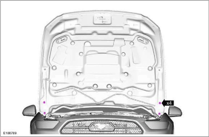Hood Alignment — original illustration 1, reference 824