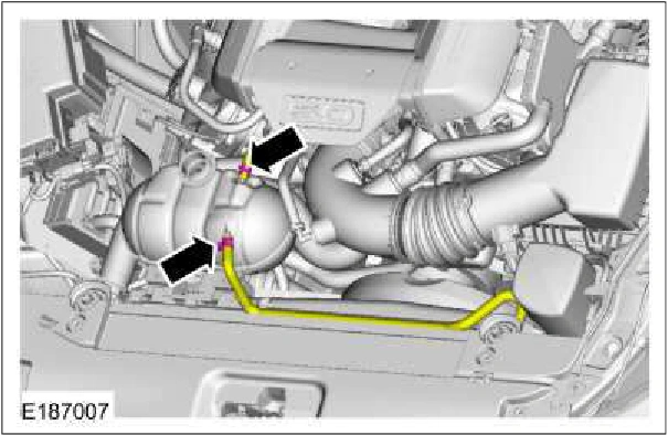 303-01C Engine Cooling - 5.0L — original illustration 3, reference 617